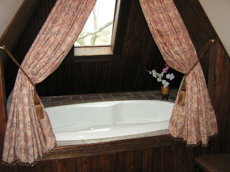 carleton suite jacuzzi