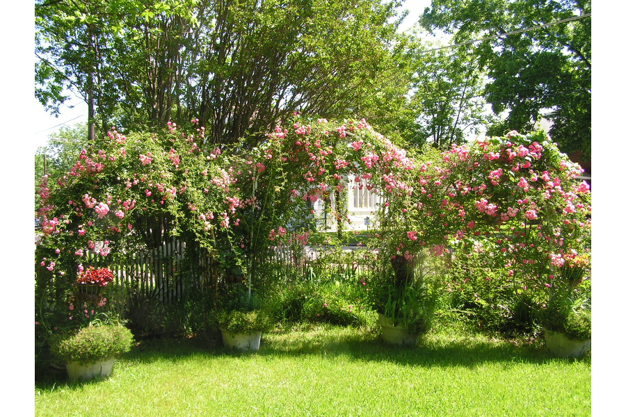 carleton house arches